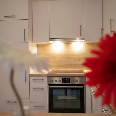 Apartament City *